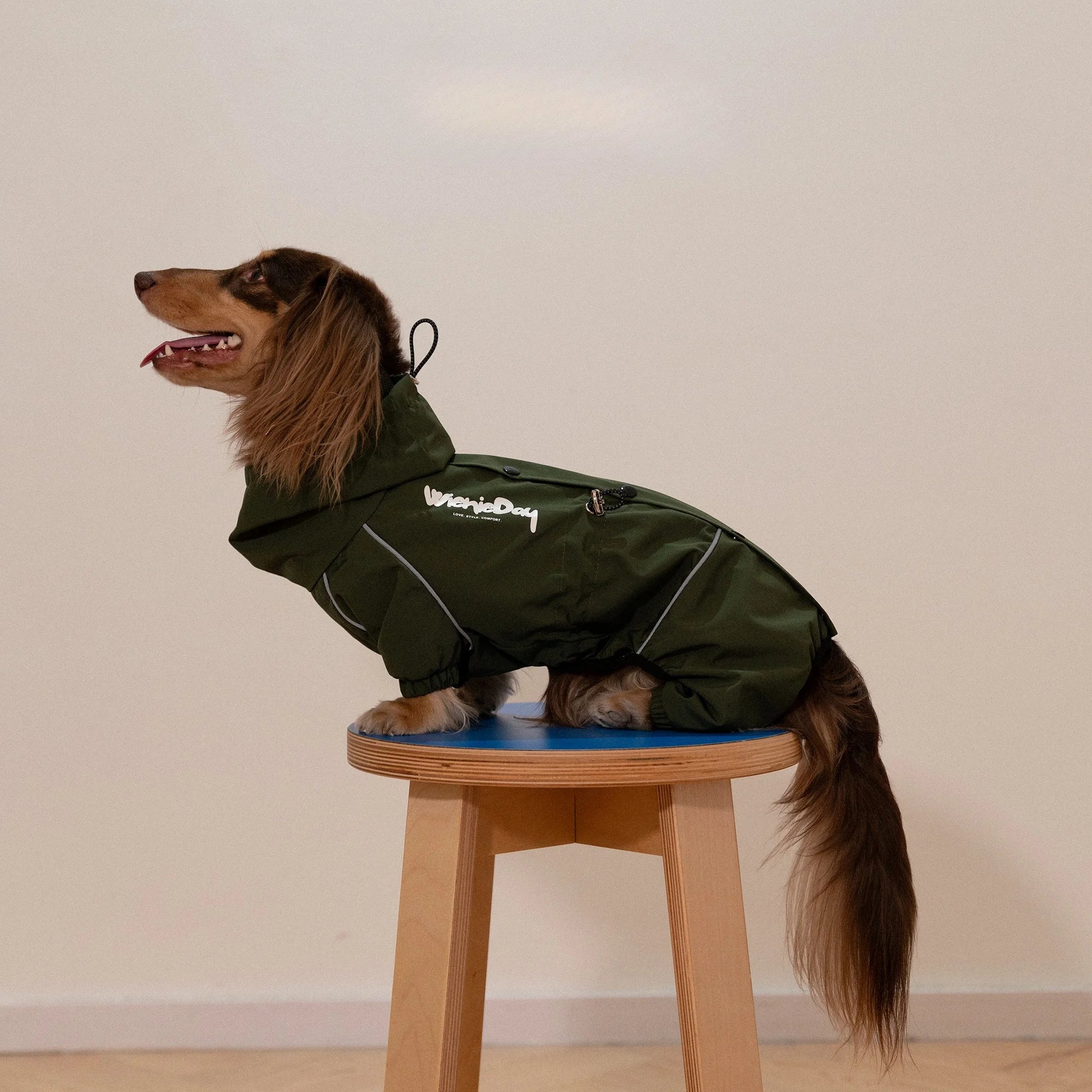 Waterproof Outdoor Full-Body Jacket for Dachshunds