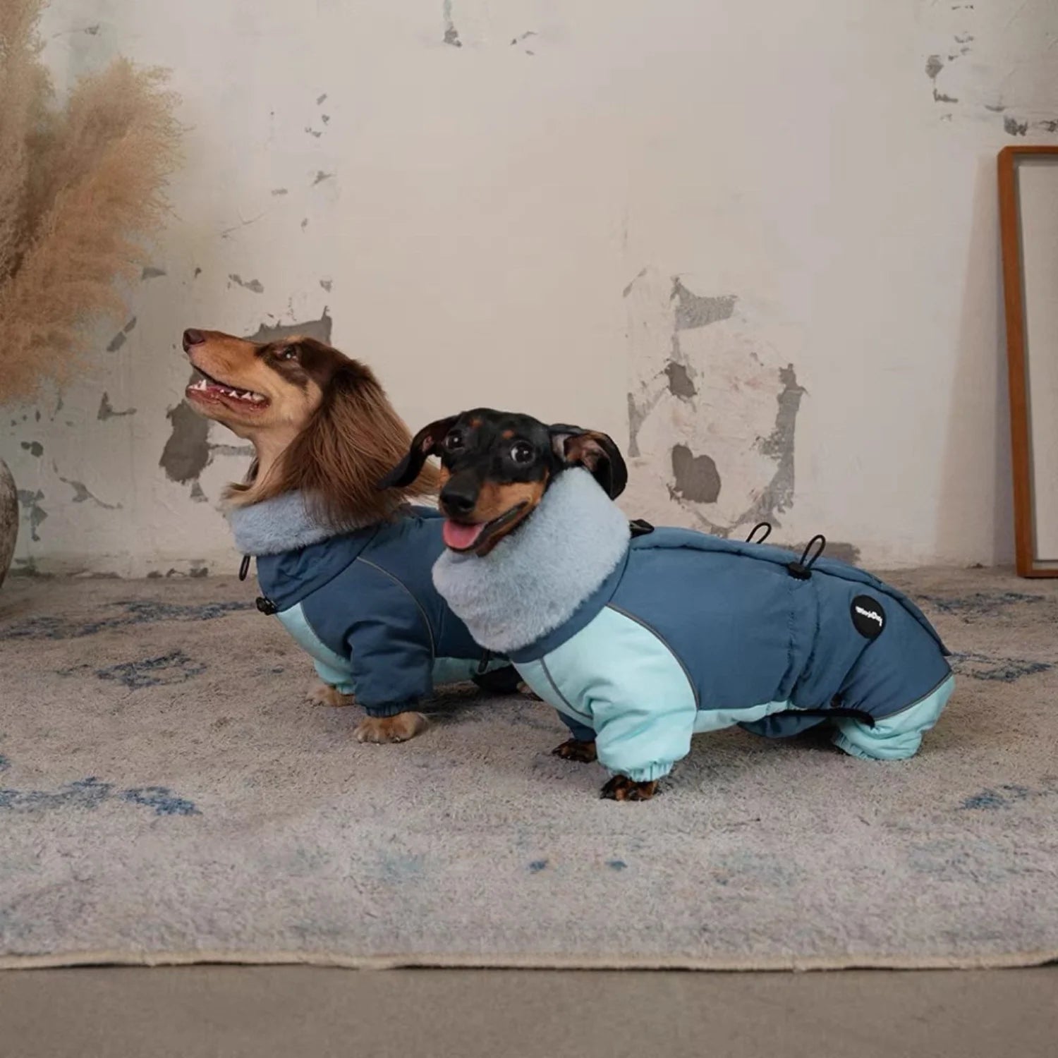 Winter Thickened Four-Leg Puffer Coat for Dachshunds