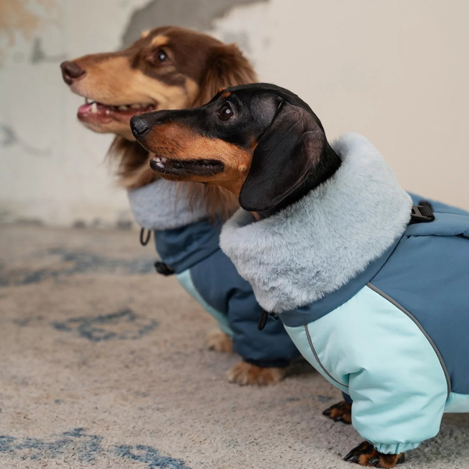 Winter Thickened Four-Leg Puffer Coat for Dachshunds