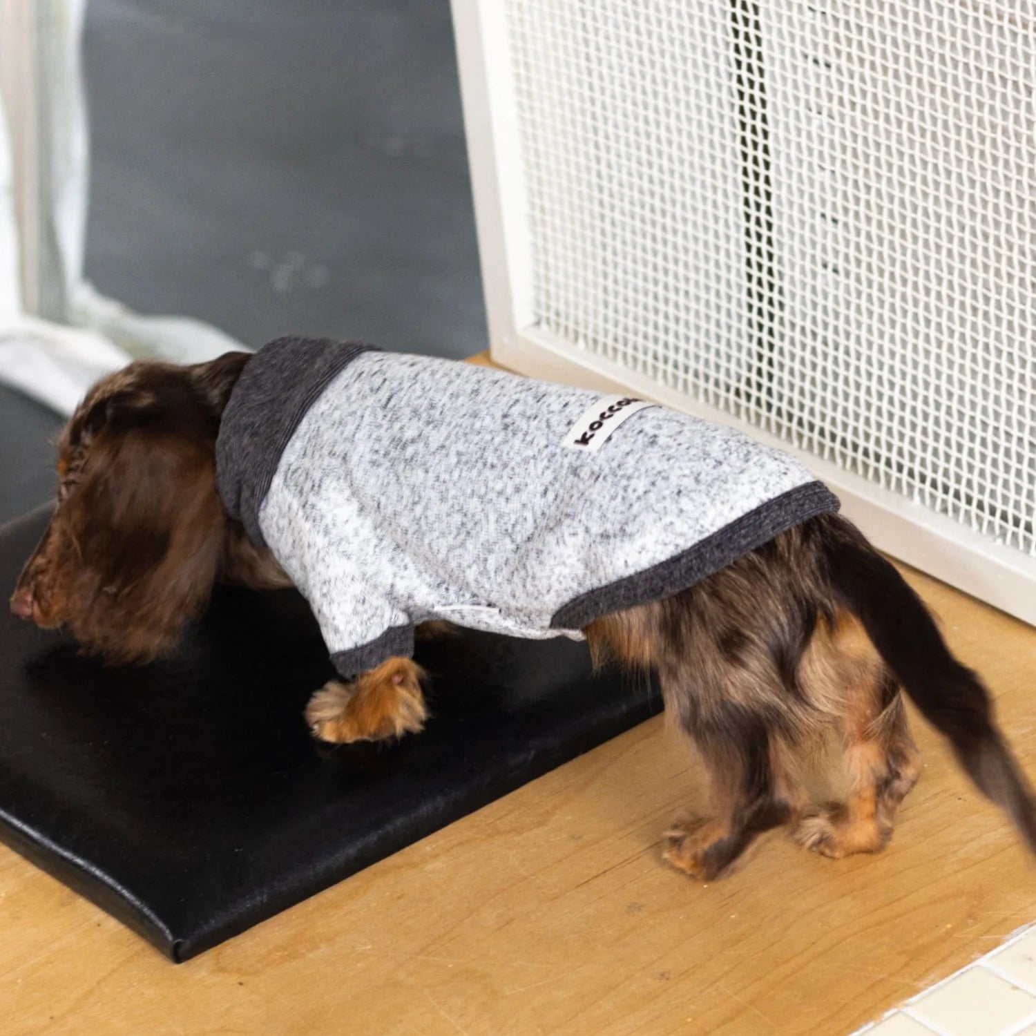 Wool Fleece Two-Leg Black Gray Sweater for Dachshunds