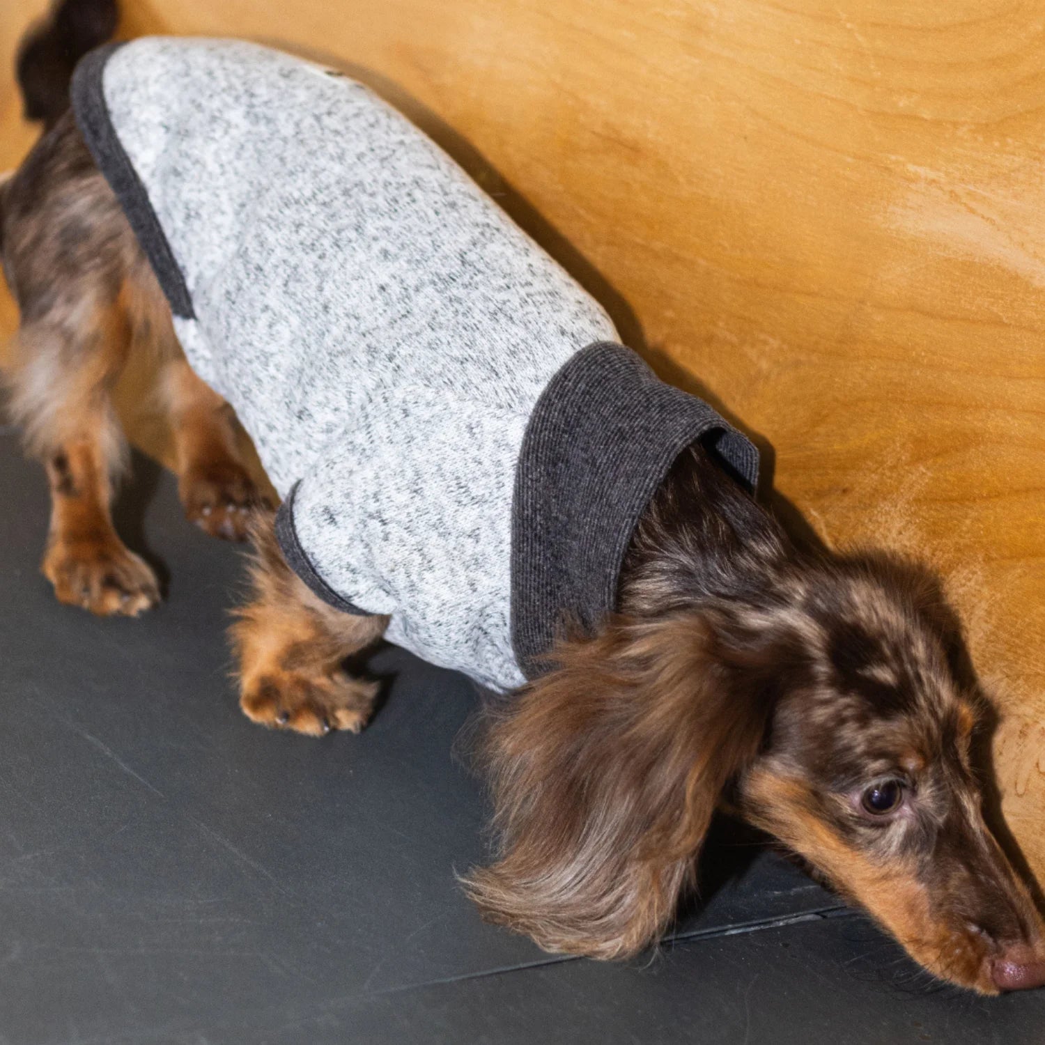 Wool Fleece Two-Leg Black Gray Sweater for Dachshunds