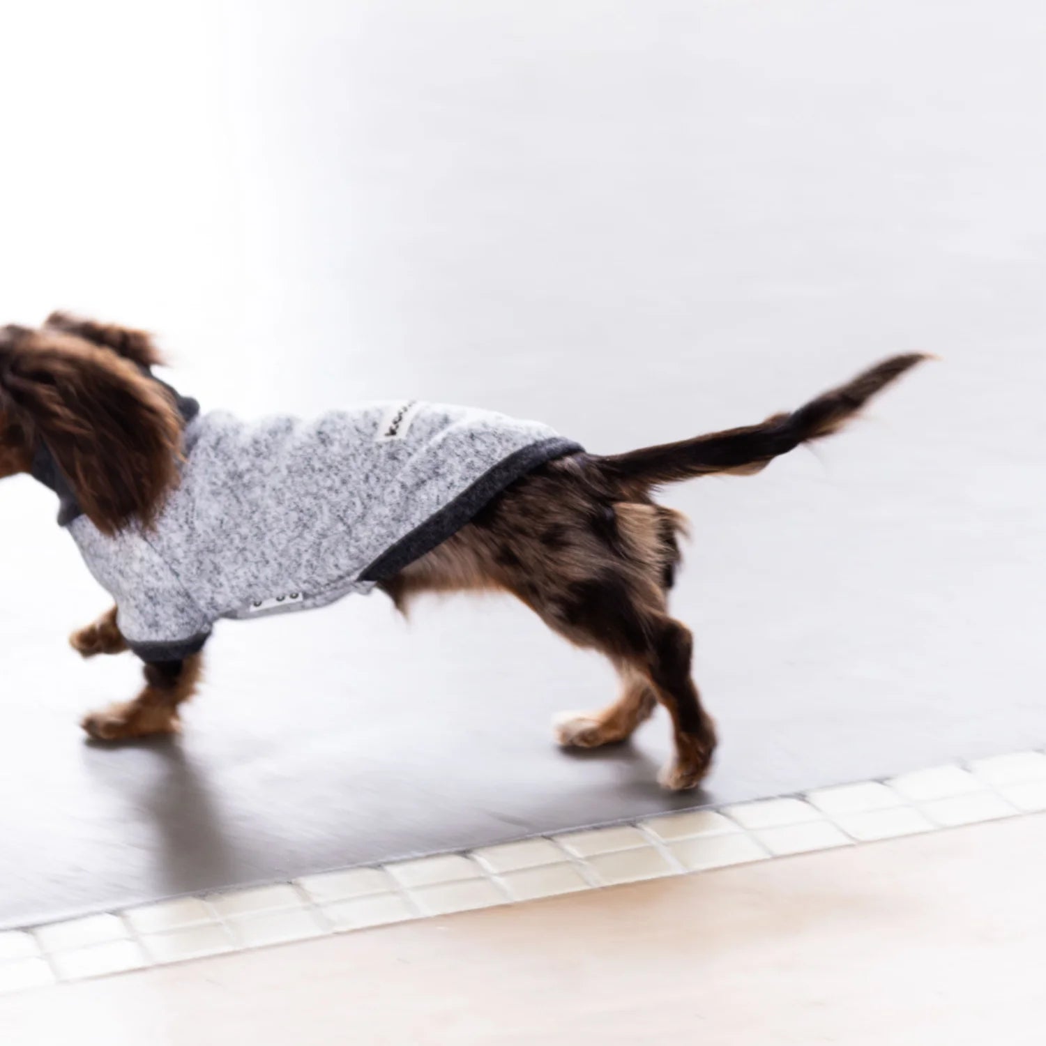 Wool Fleece Two-Leg Black Gray Sweater for Dachshunds