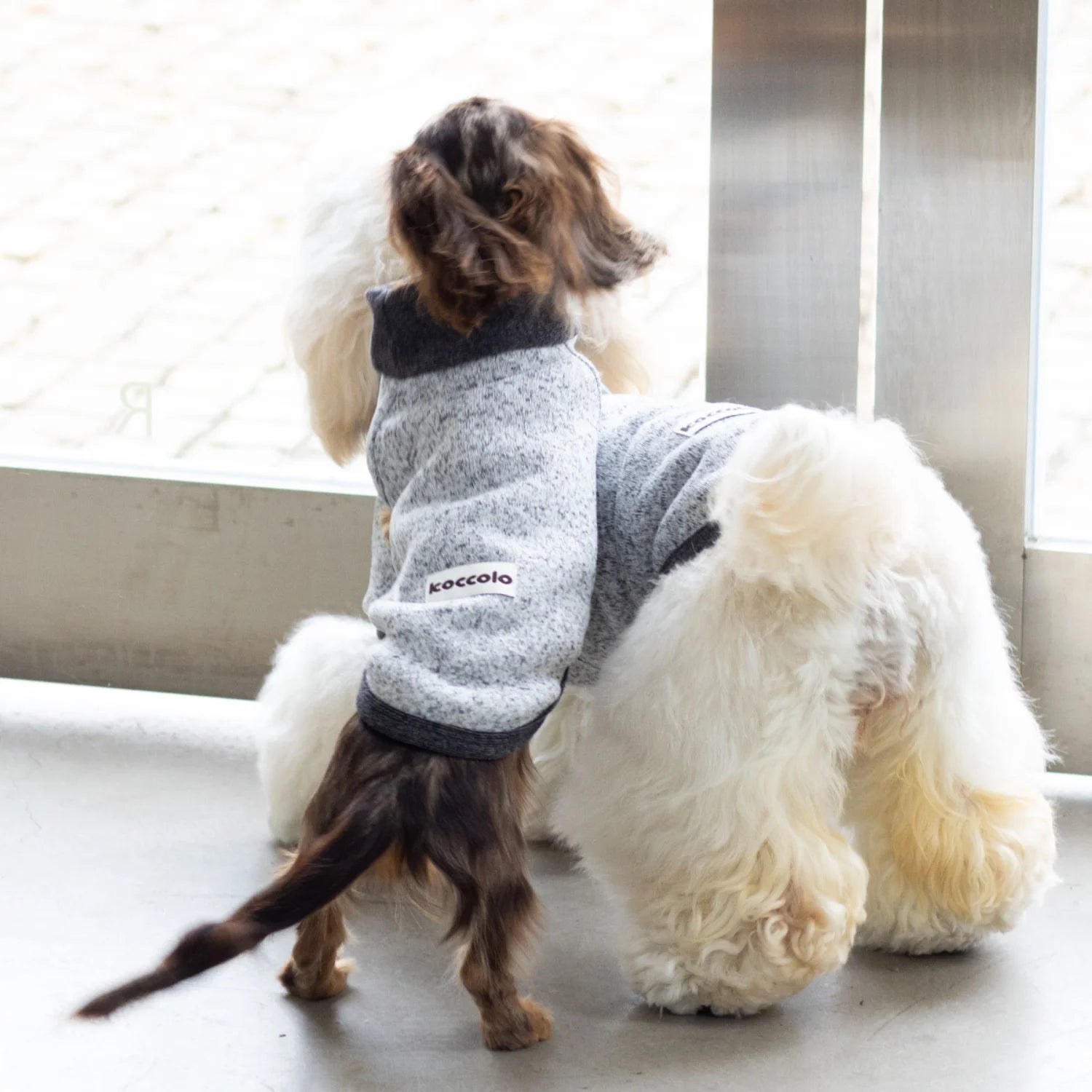 Wool Fleece Two-Leg Black Gray Sweater for Dachshunds