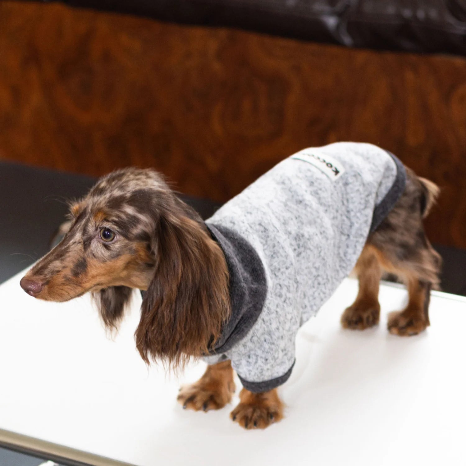 Wool Fleece Two-Leg Black Gray Sweater for Dachshunds